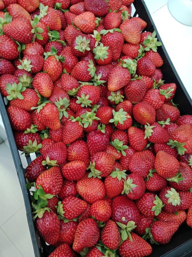 OYKOS YOGURT · Fotos 6
